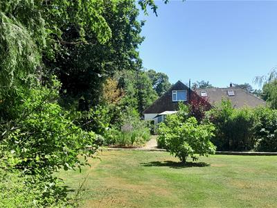 Picture 25